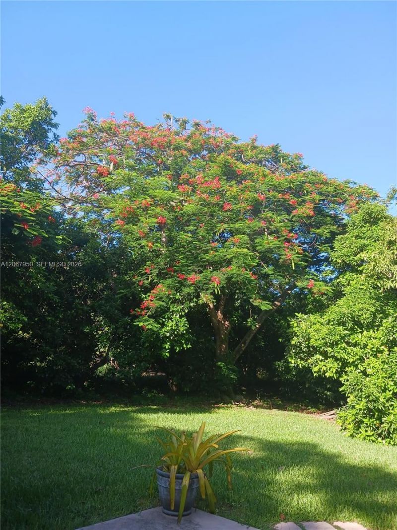 13960 SW 248th St , Homestead, FL 33032 Photo