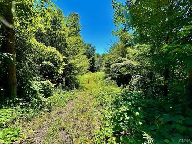 0 Hillsborough Road, Camden, NY 13316