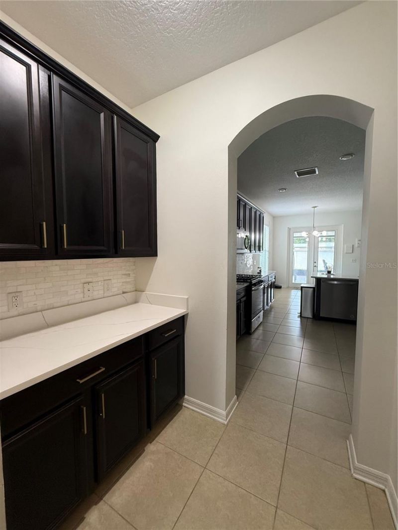 422 Westchester Hills Lane, Valrico, FL 33594 Photo
