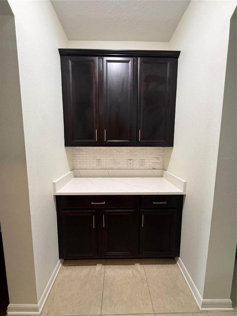 422 Westchester Hills Lane, Valrico, FL 33594 Photo
