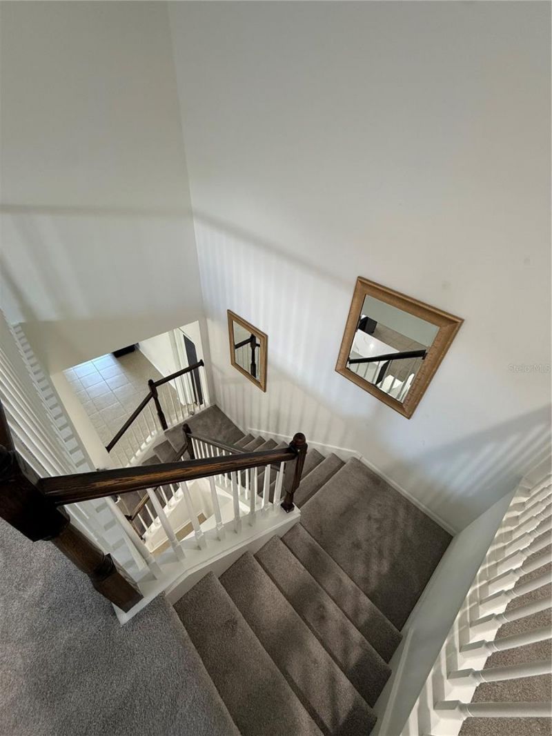 422 Westchester Hills Lane, Valrico, FL 33594 Photo