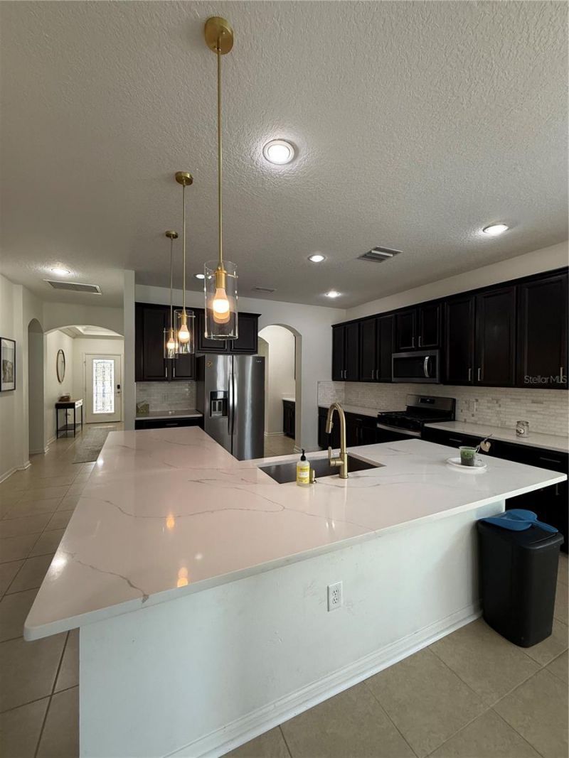 422 Westchester Hills Lane, Valrico, FL 33594 Photo