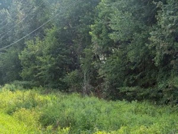 Parcel 38 GOLDSBORO ROAD , BARCLAY, MD 21607