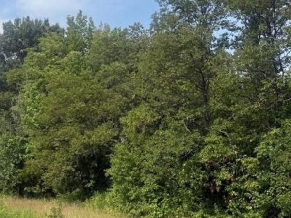 Parcel 73 BARCLAY ROAD , BARCLAY, MD 21607