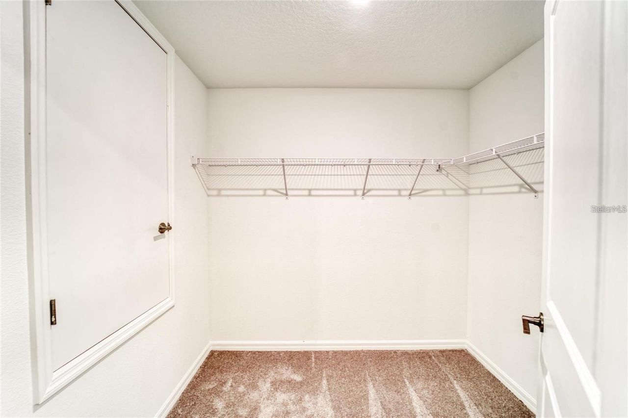 5514 Blue Azure Drive , Wimauma, FL 33598 Photo