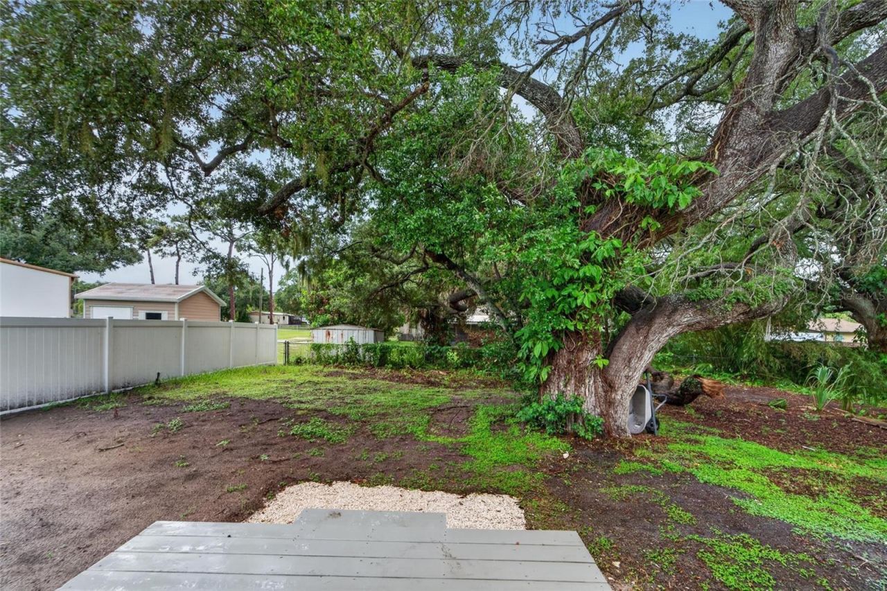 8809 Dyer Road, Riverview, FL 33578 Photo