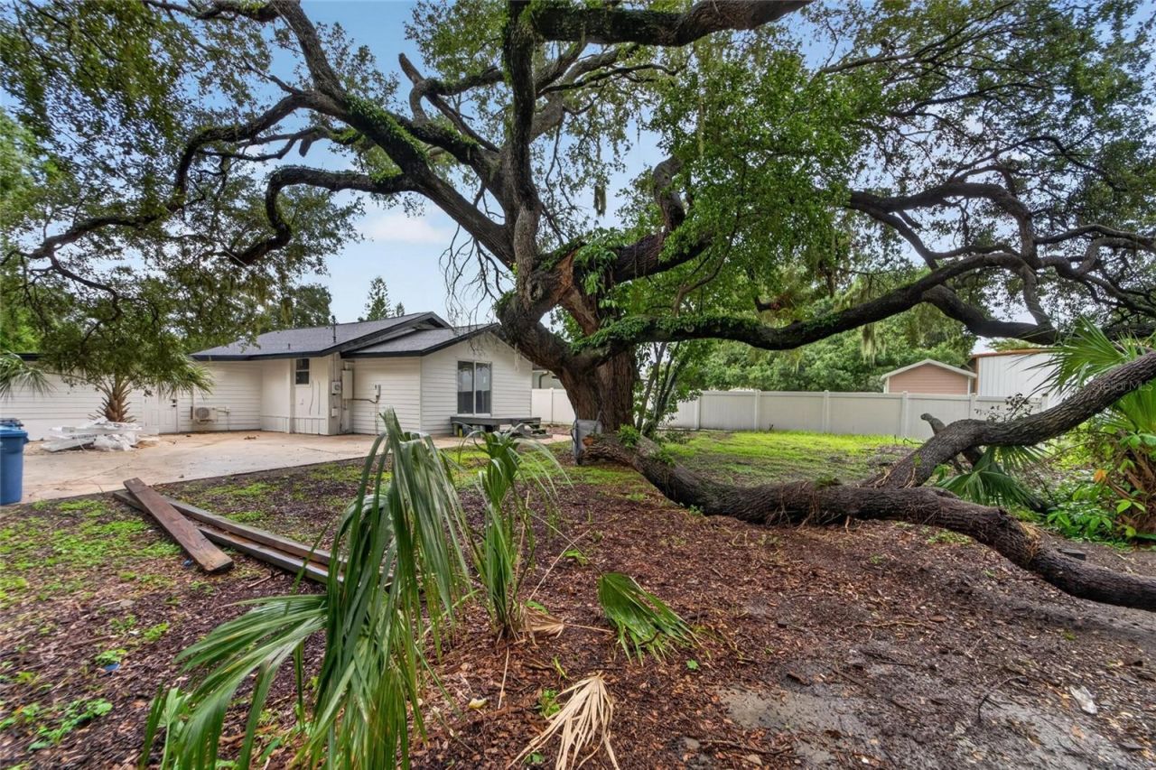 8809 Dyer Road, Riverview, FL 33578 Photo