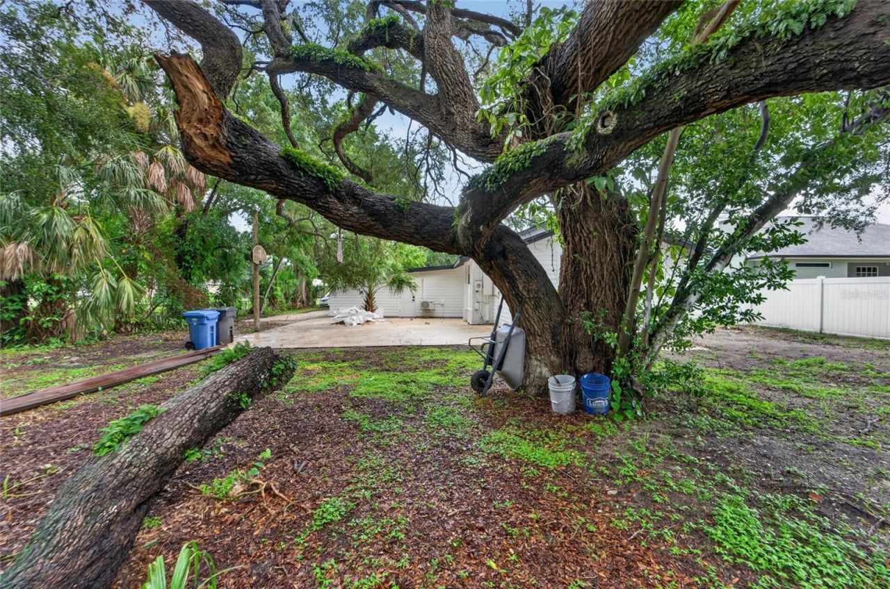 8809 Dyer Road, Riverview, FL 33578 Photo