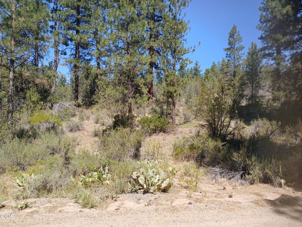 0 Oriole Drive, Unit Lot 13, Bonanza, OR 97623