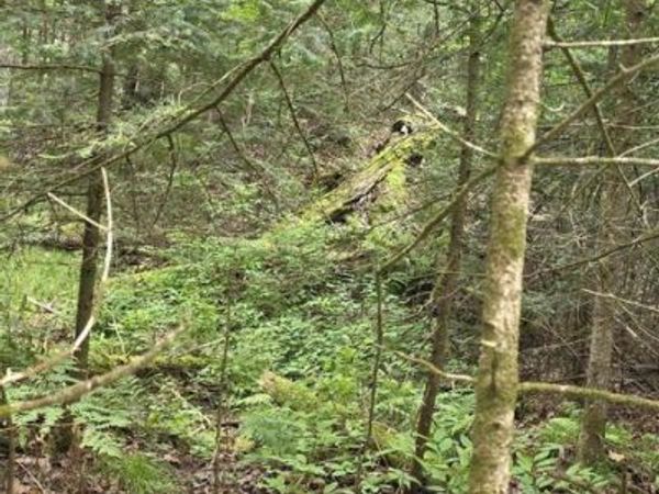 0000 LOON LAKE ROAD, Florence, WI 54121