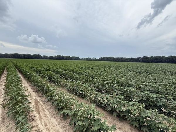 0 HWY 14 HWY, Millington, TN 38053