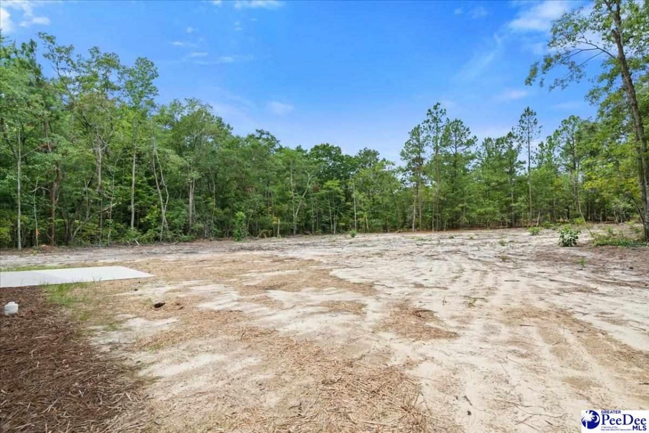 1139 Peach Orchard Rd Photo 39