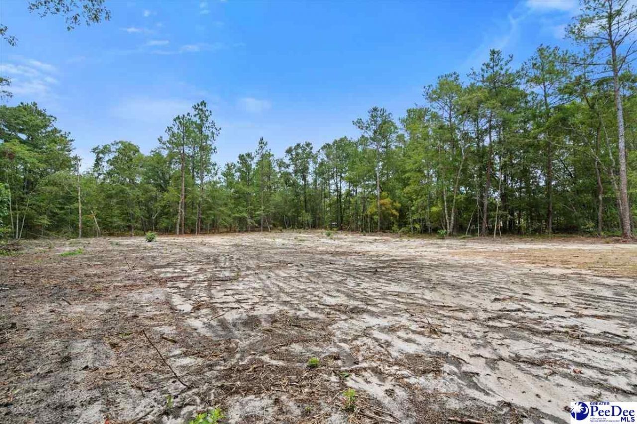 1139 Peach Orchard Rd Photo 4