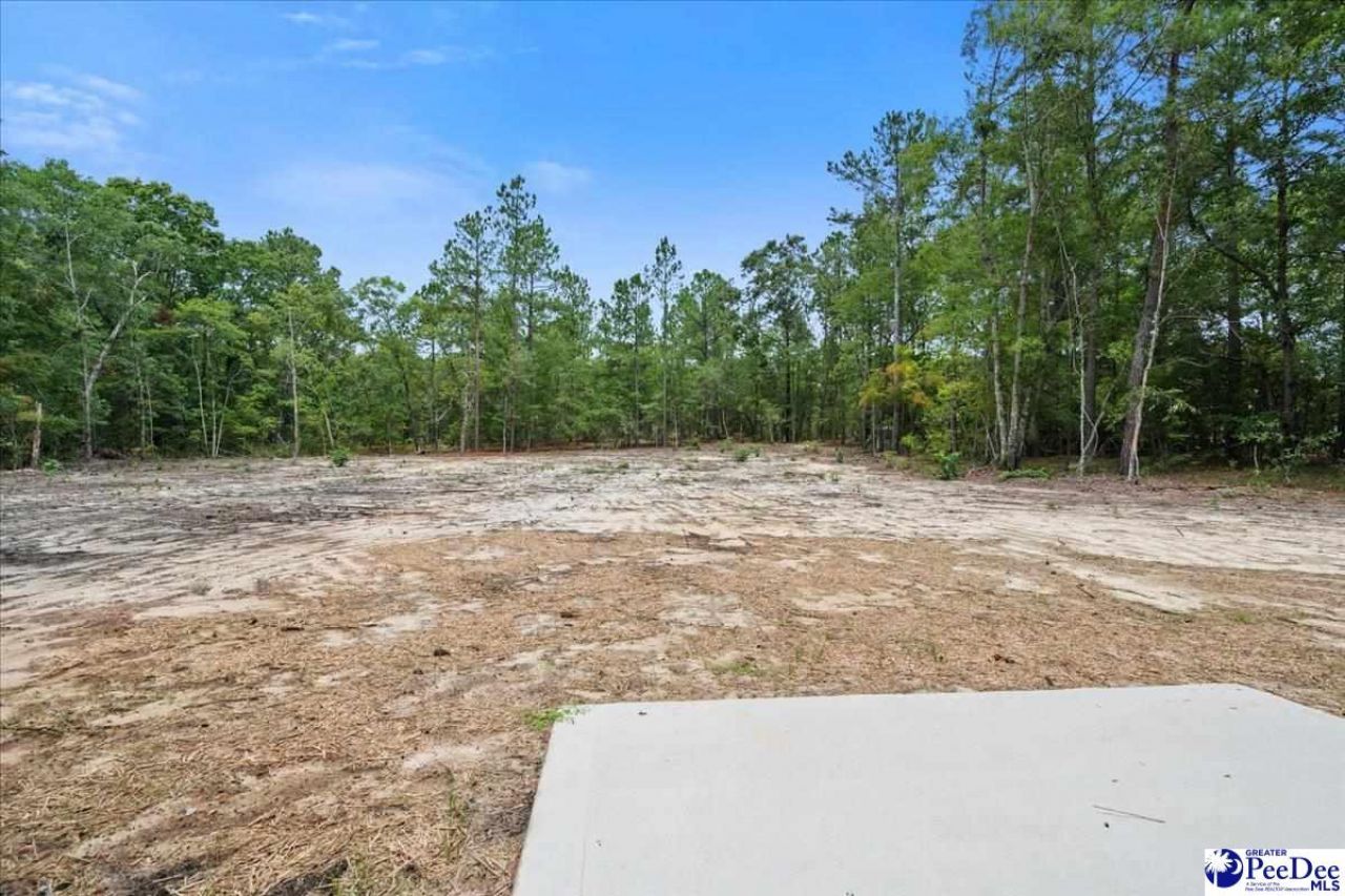 1139 Peach Orchard Rd Photo 41