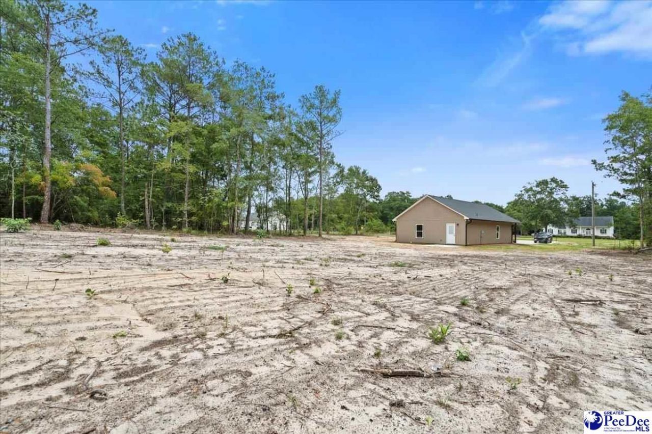 1139 Peach Orchard Rd Photo 43
