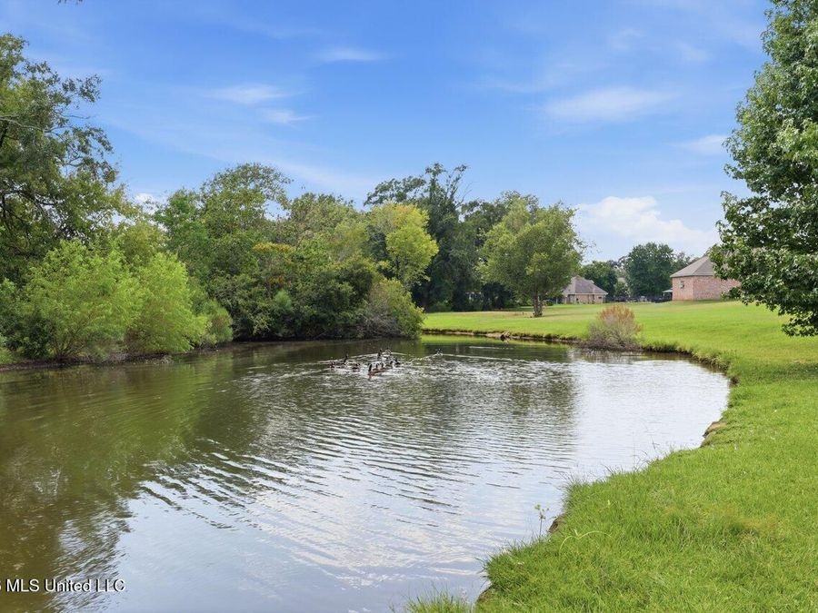 Property Image 60