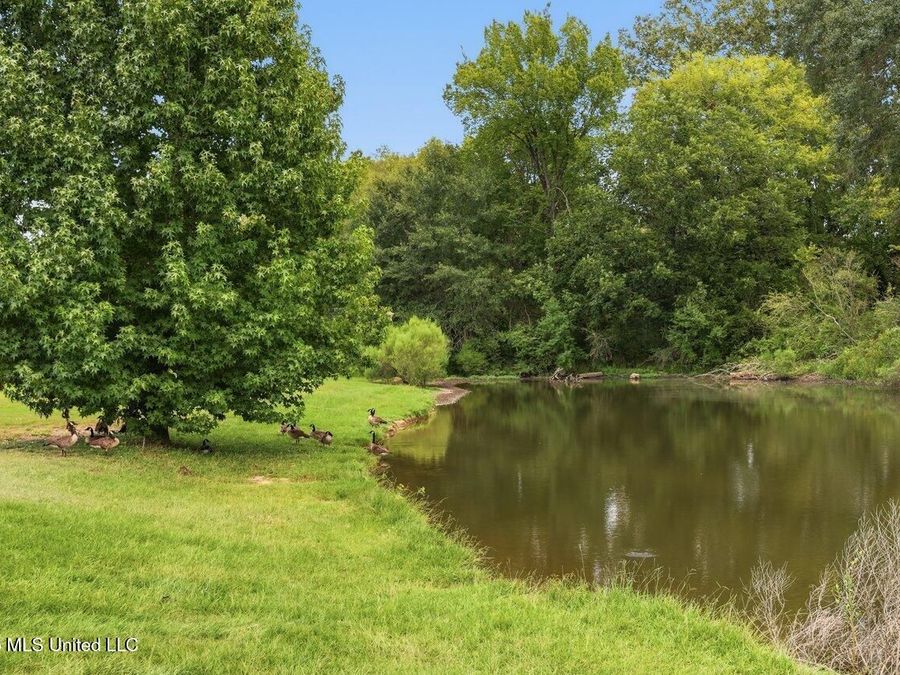 Property Image 61