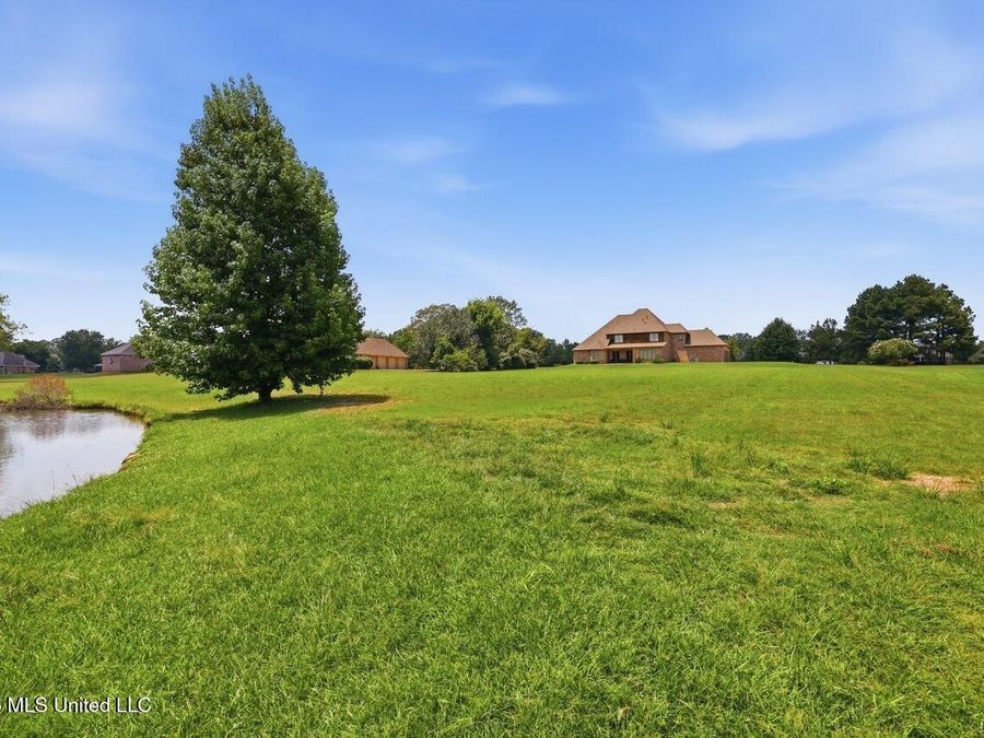 Property Image 62