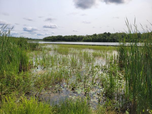 TBD Woodbury Drive , Wright, MN 55798