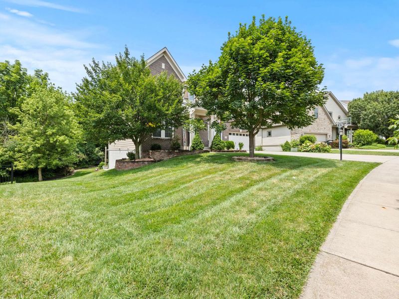 210 Blue Jacket Circle, Pickerington, OH 43147 Photo 43