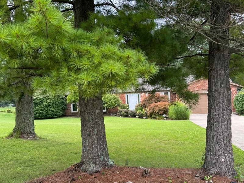 7238 Elk Creek Road, Madison Township, OH 45042 Photo 7