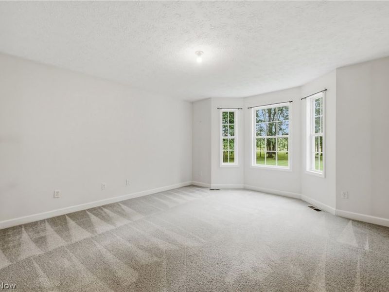 2930 Selkirk Bush Road SW, Warren, OH 44481 Photo 31