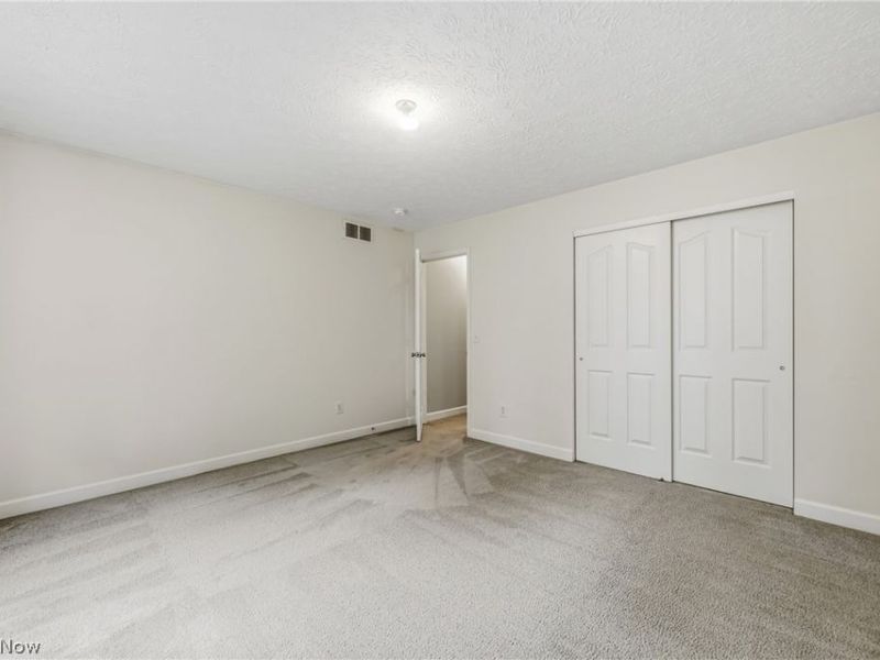 2930 Selkirk Bush Road SW, Warren, OH 44481 Photo 33