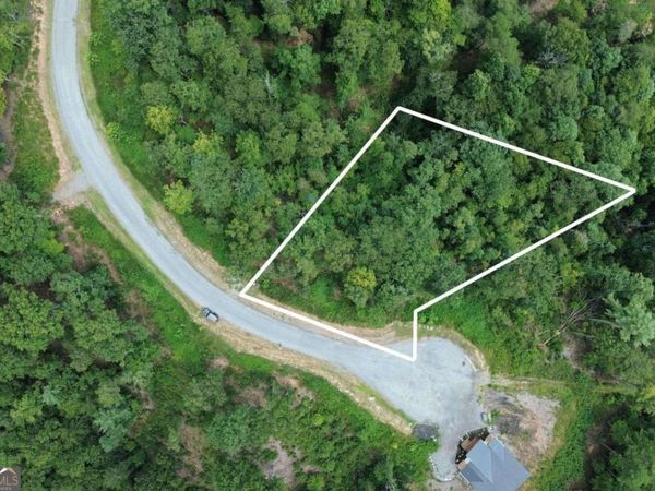 LOT 49 Mountain Laurel Ridge, Mineral Bluff, GA 30559