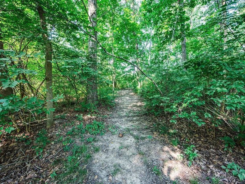 817 Millville Oxford Road, Hanover Township, OH 45013 Photo 34