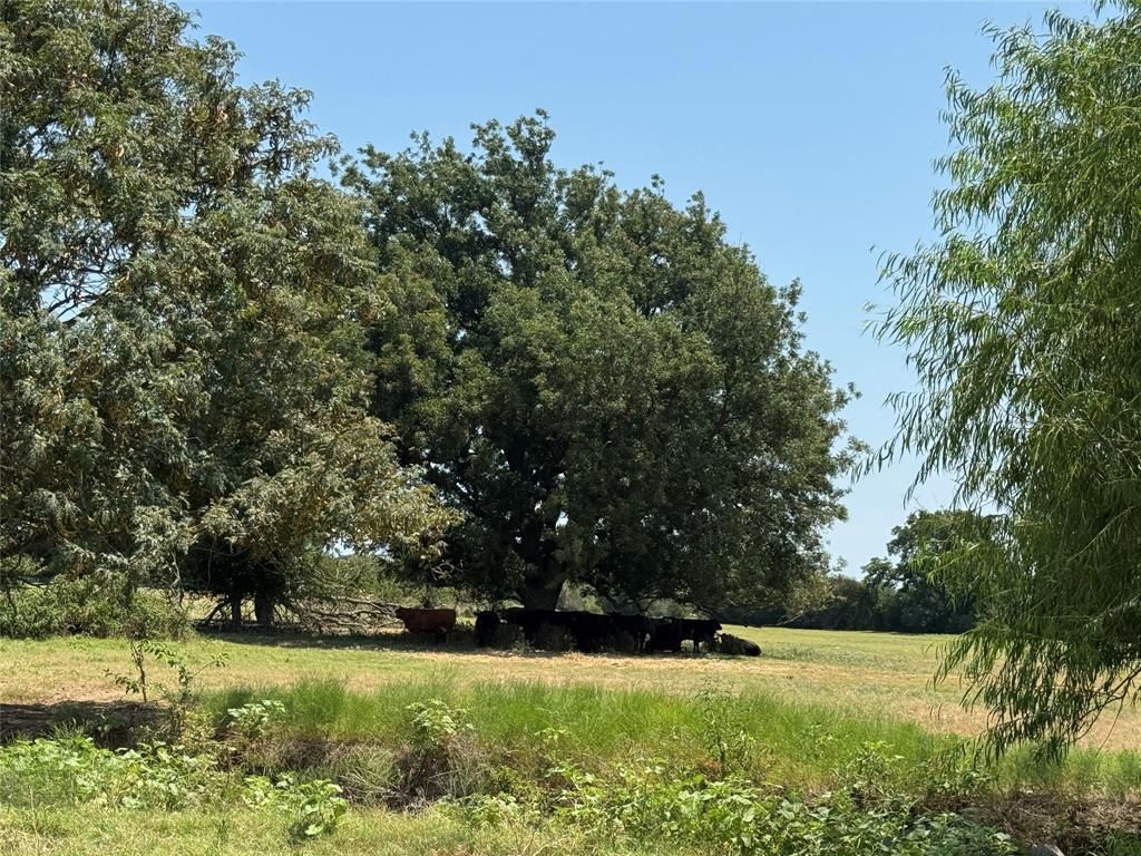 2800 W Highway 82, Gainesville, TX 76240 Main Photo