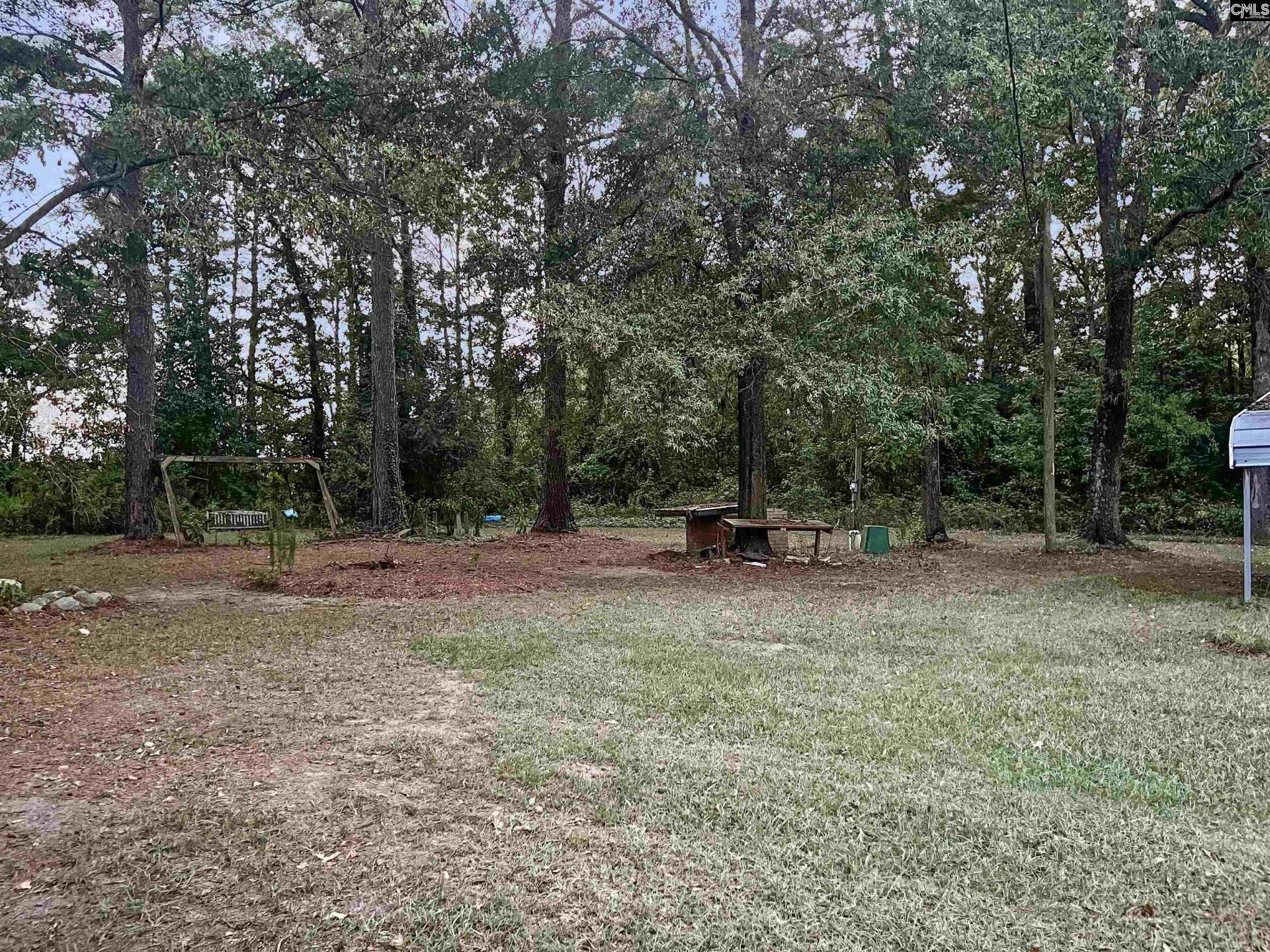 704 Congaree Church Road  Photo 11