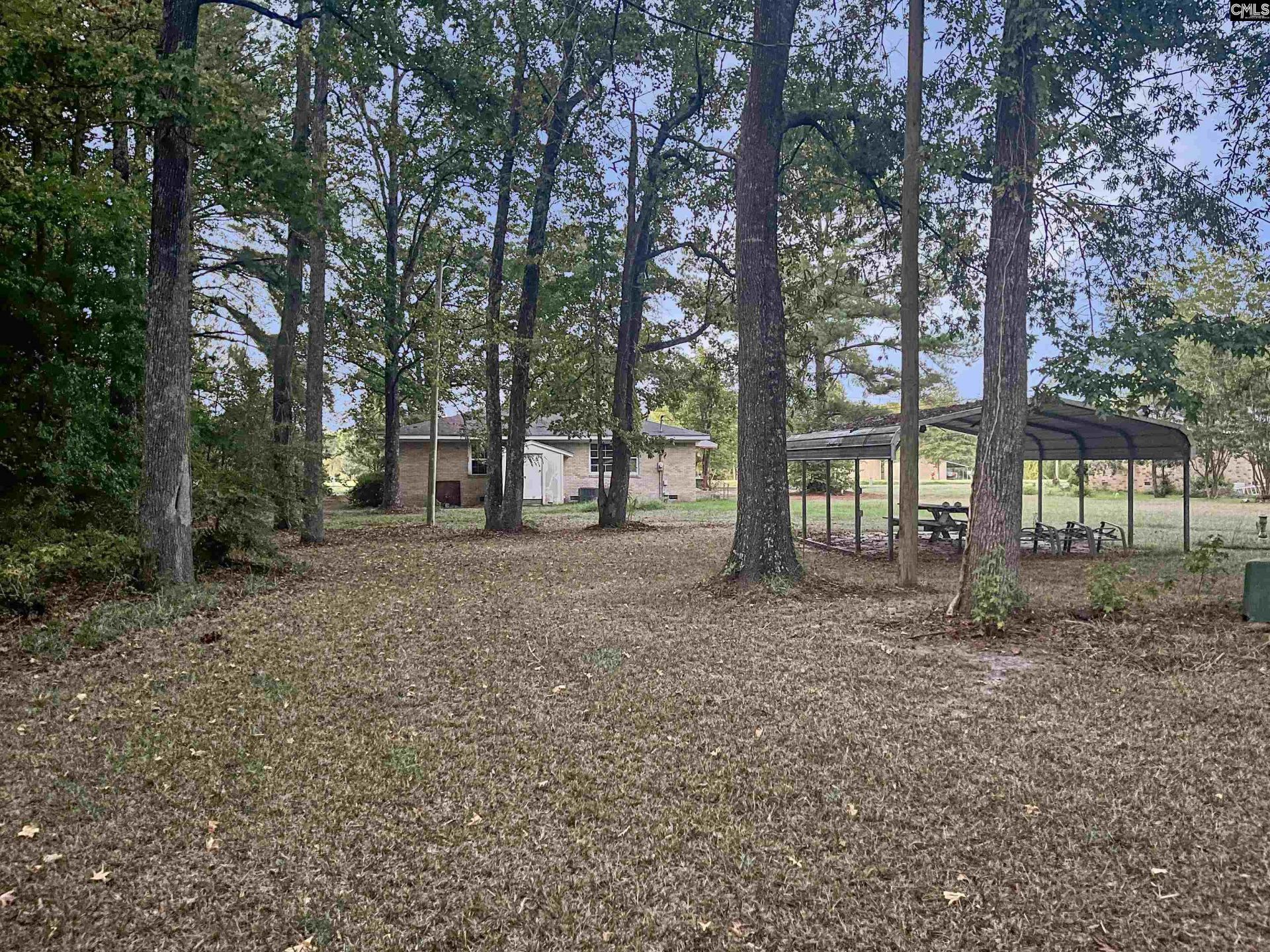 704 Congaree Church Road  Photo 13