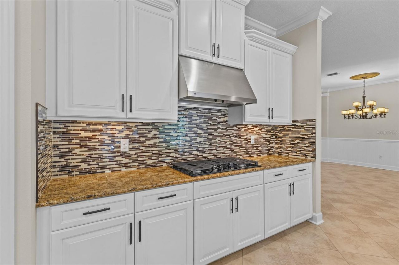 9913 Wicker Park Place, Palmetto, FL 34221 Photo
