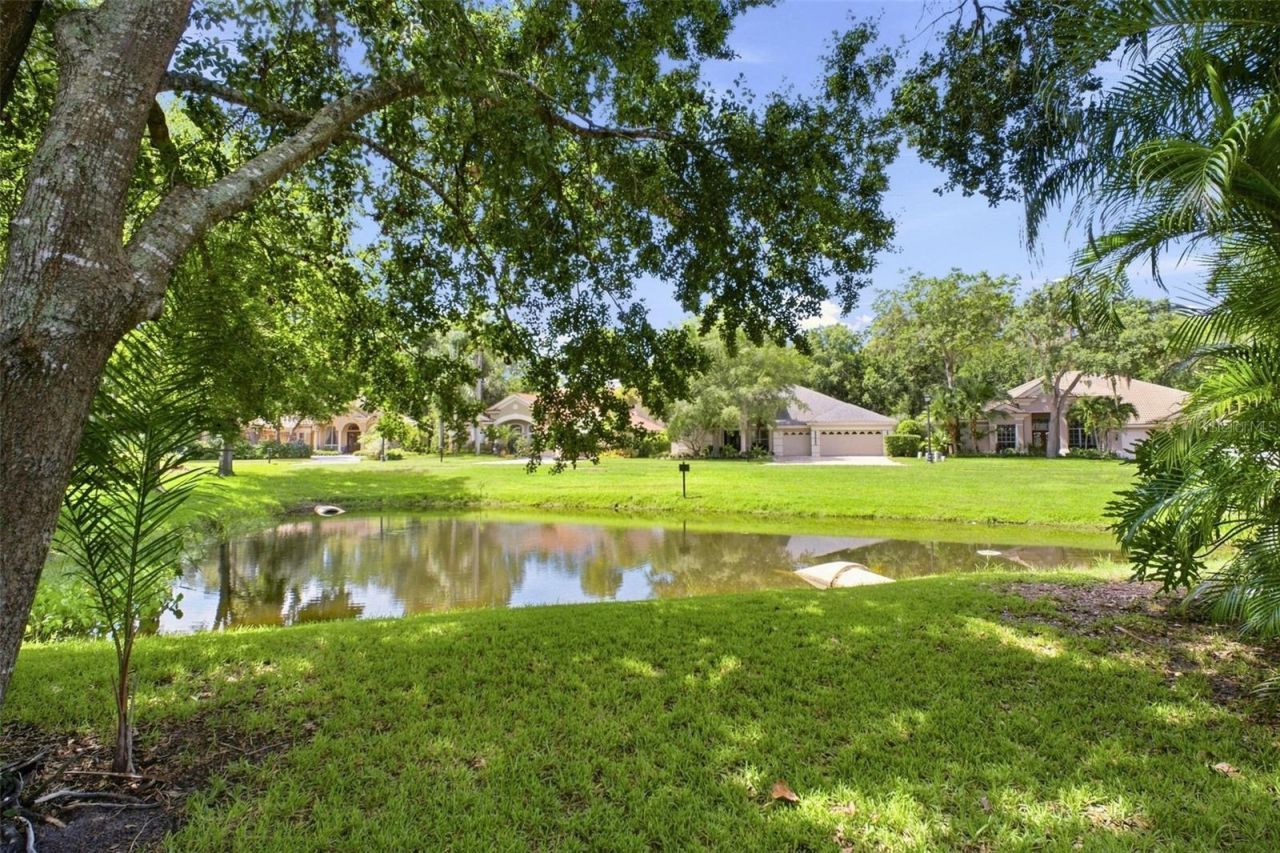 2862 Deer Run, Tarpon Springs, FL 34688 Photo