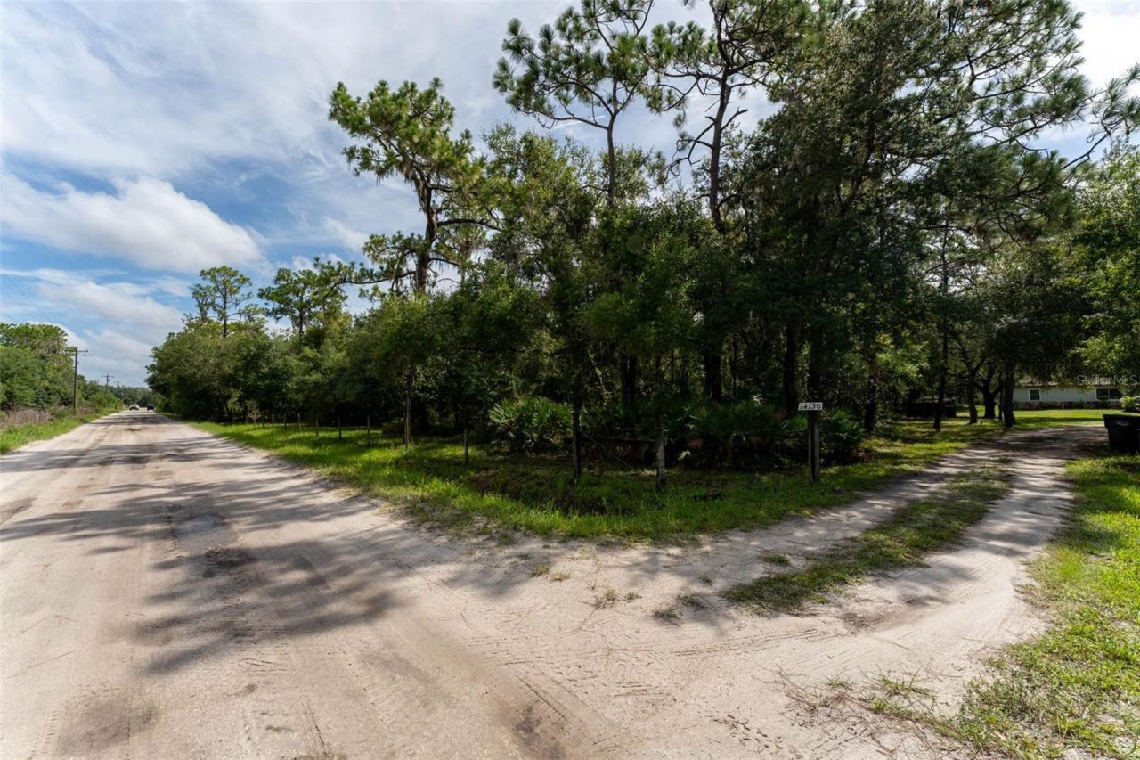 14150 Highland Road, Wimauma, FL 33598 Photo