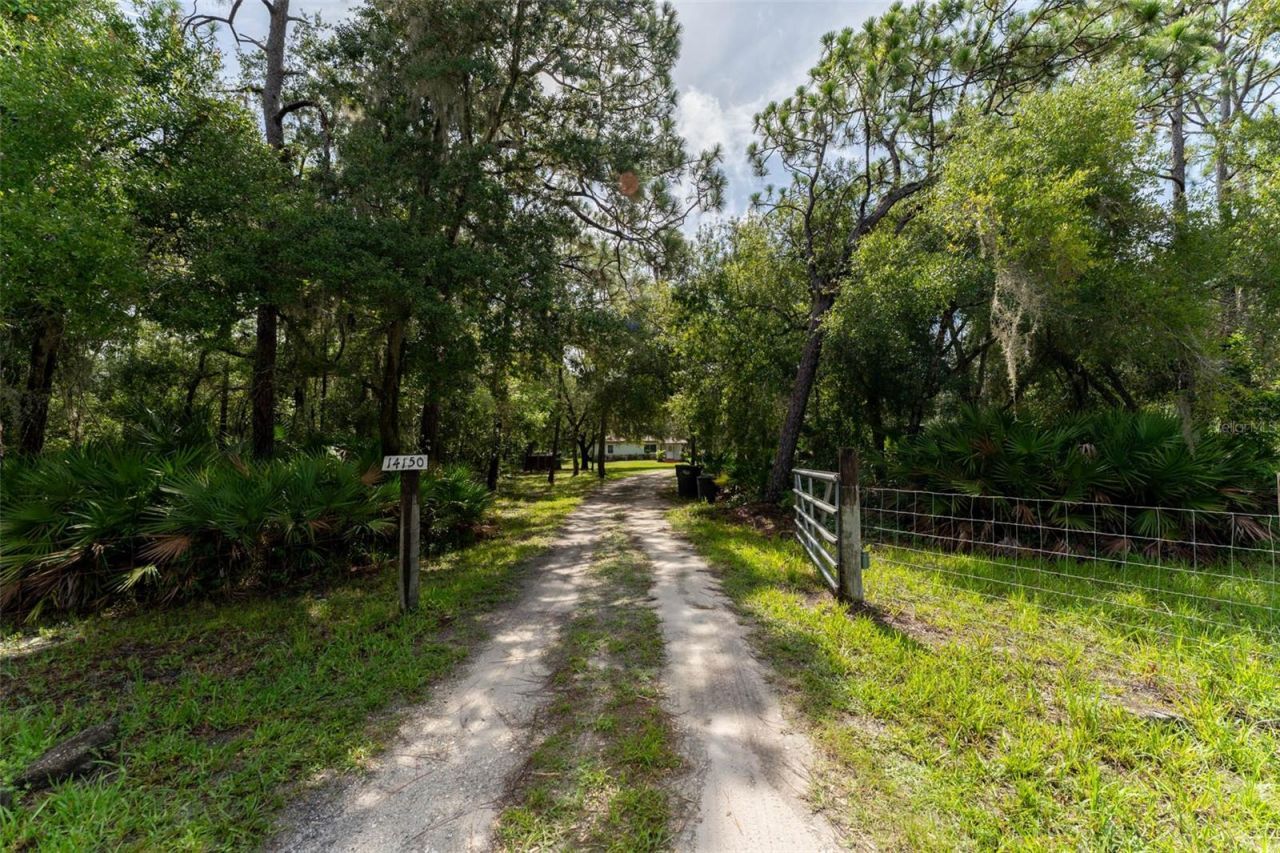 14150 Highland Road, Wimauma, FL 33598 Photo