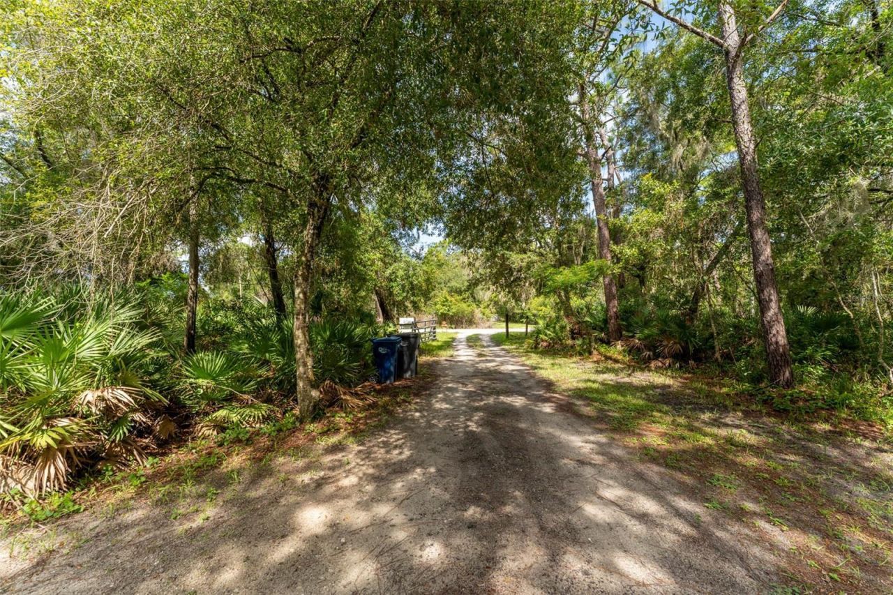14150 Highland Road, Wimauma, FL 33598 Photo