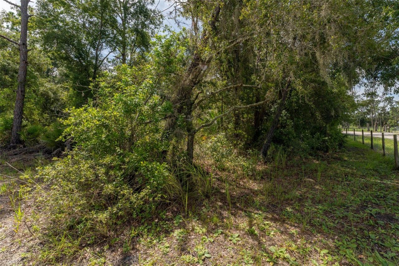 14150 Highland Road, Wimauma, FL 33598 Photo