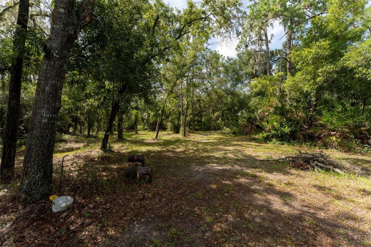 14150 Highland Road, Wimauma, FL 33598 Photo