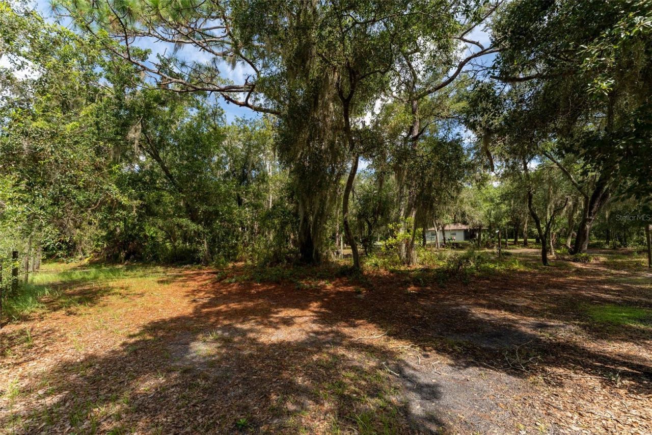 14150 Highland Road, Wimauma, FL 33598 Photo