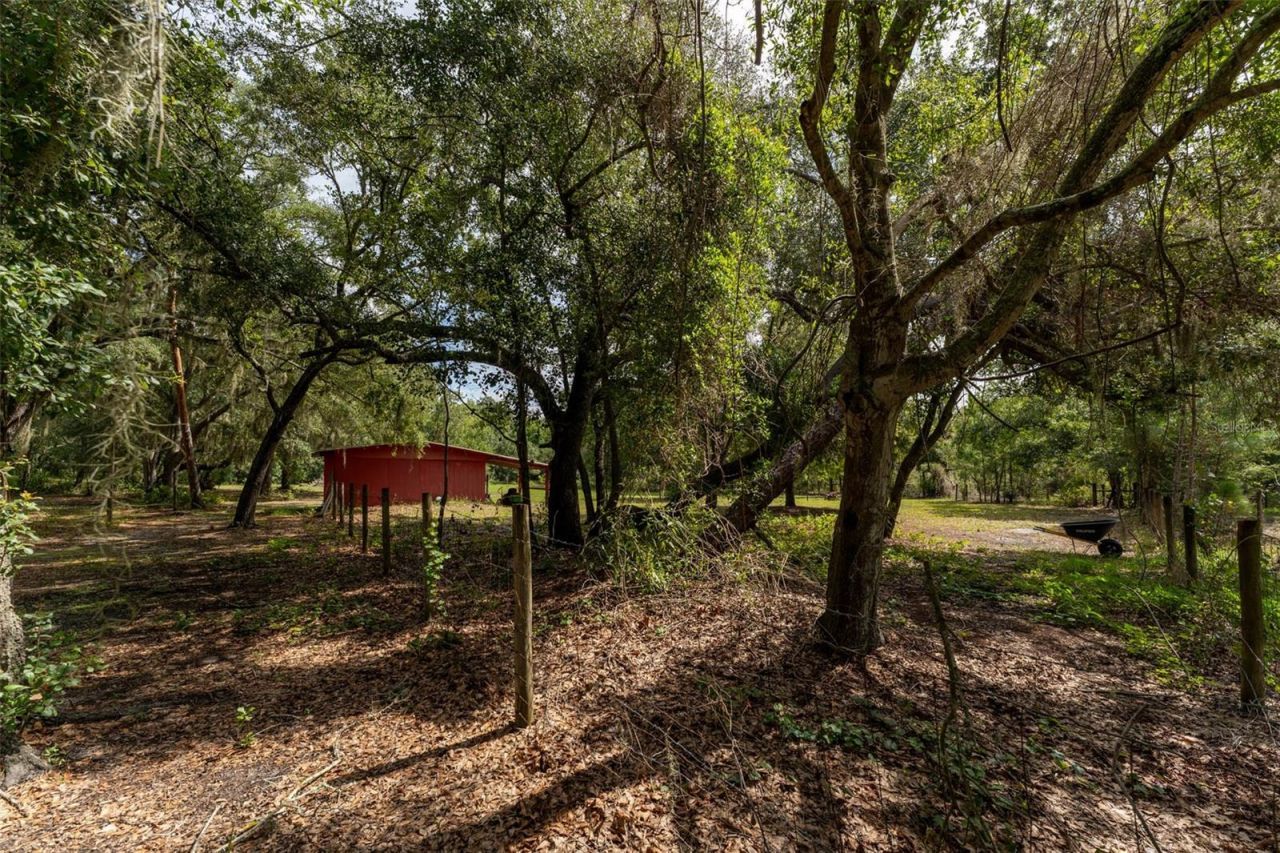 14150 Highland Road, Wimauma, FL 33598 Photo
