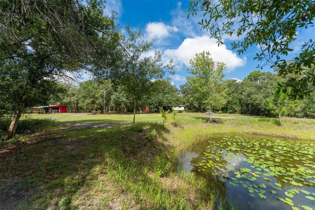 14150 Highland Road, Wimauma, FL 33598 Photo