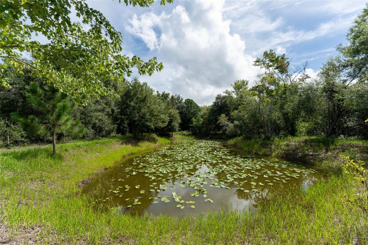 14150 Highland Road, Wimauma, FL 33598 Photo