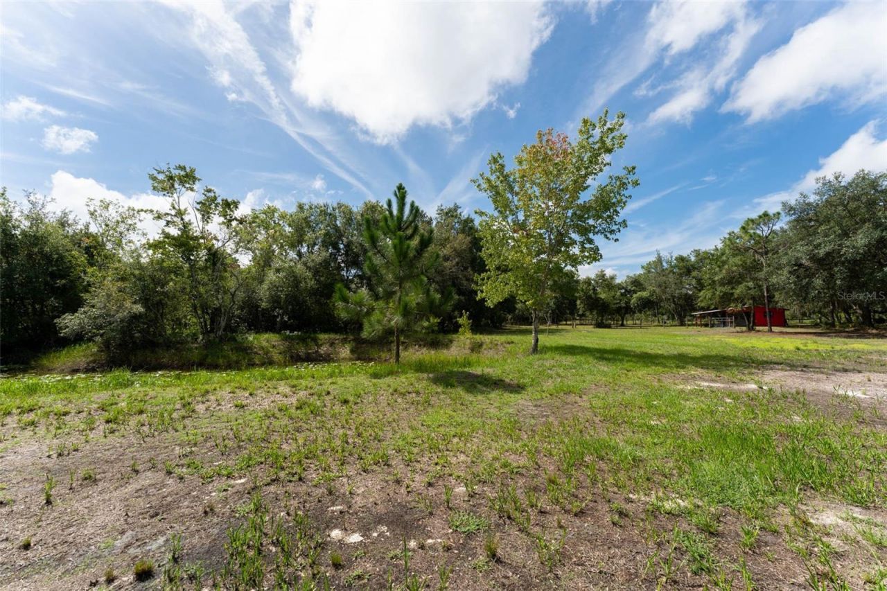 14150 Highland Road, Wimauma, FL 33598 Photo