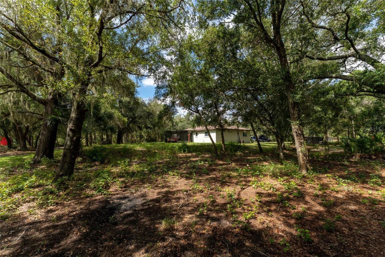 14150 Highland Road, Wimauma, FL 33598 Photo