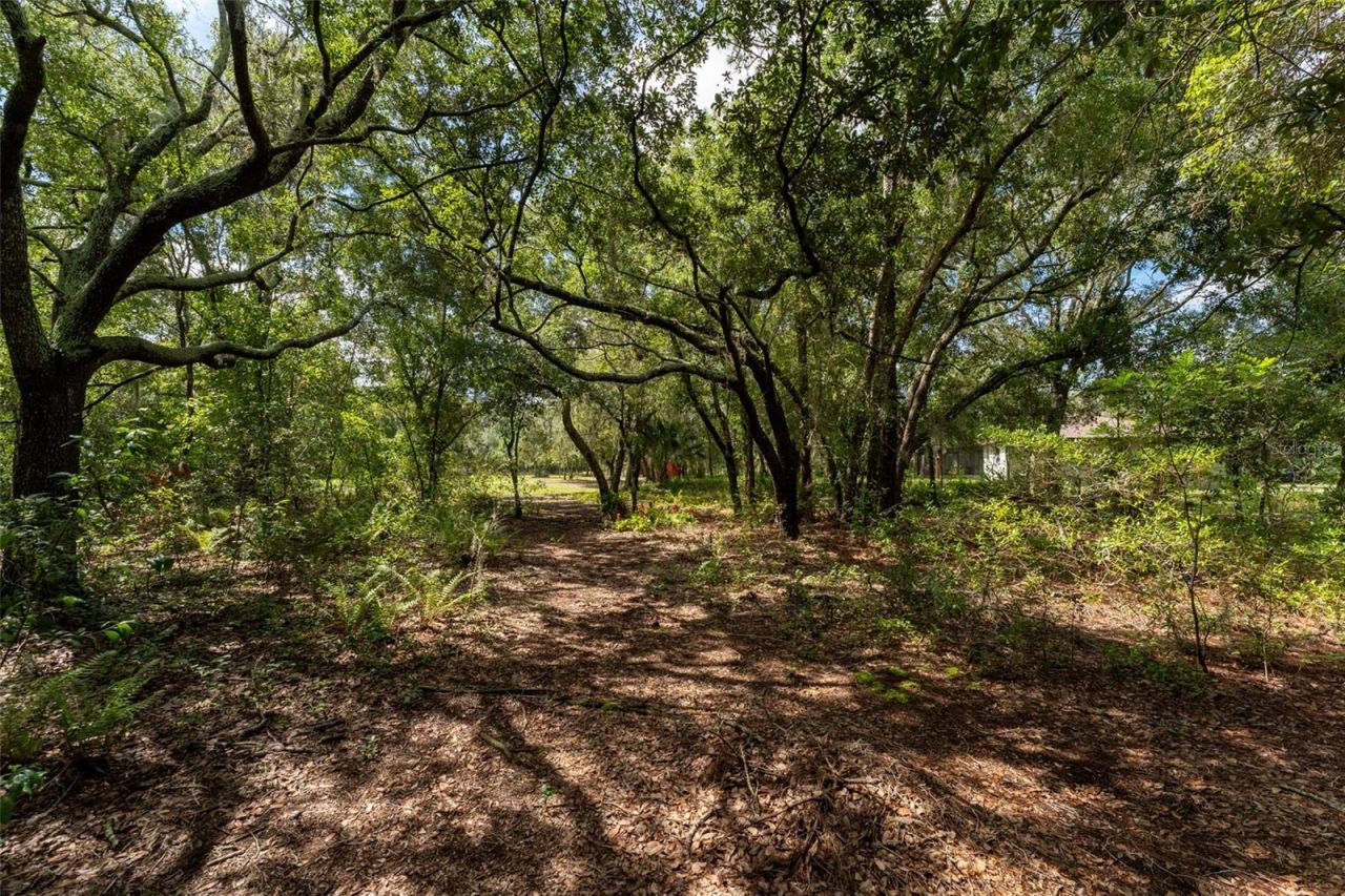 14150 Highland Road, Wimauma, FL 33598 Photo