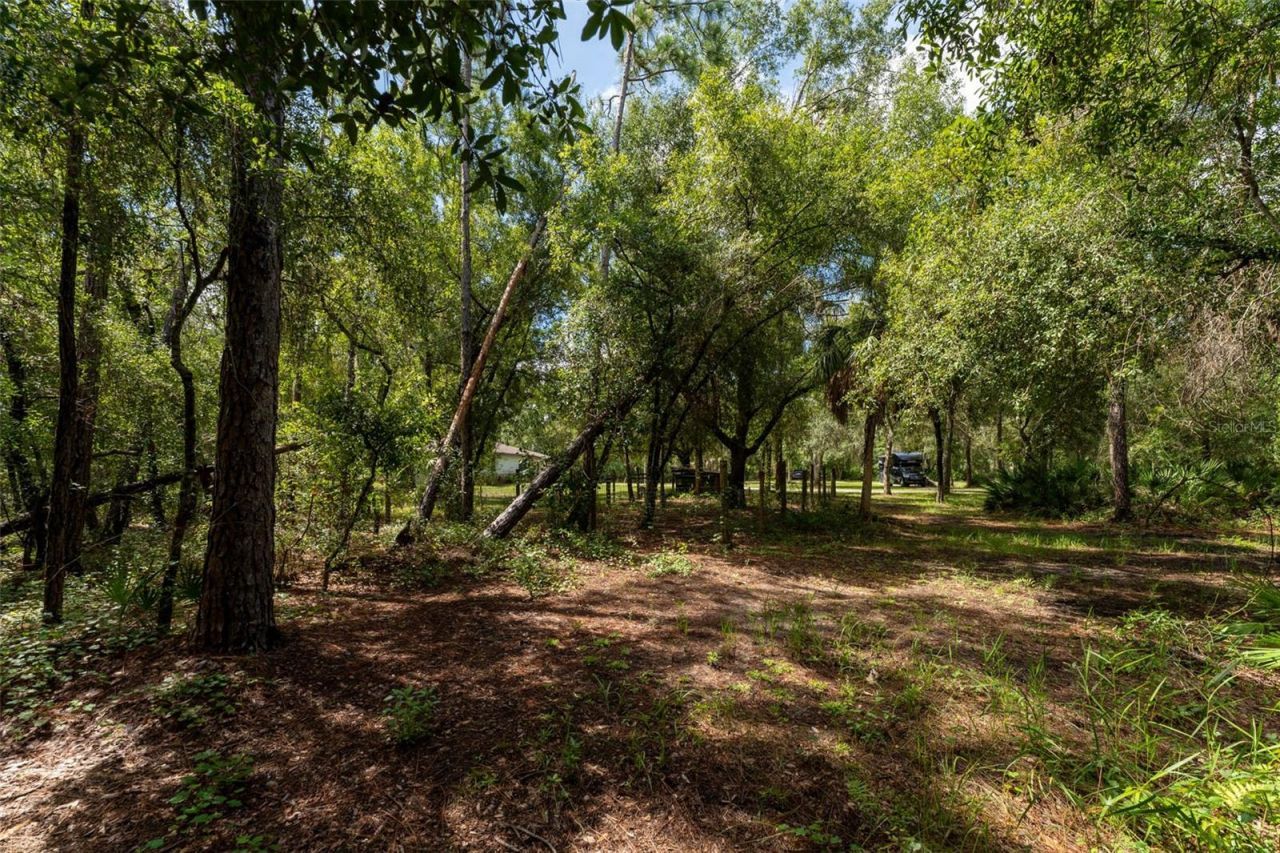 14150 Highland Road, Wimauma, FL 33598 Photo