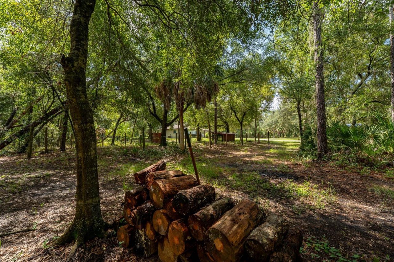 14150 Highland Road, Wimauma, FL 33598 Photo