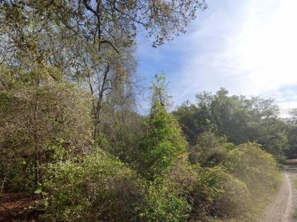 0 NE 437TH AVE , OLD TOWN, FL 32680