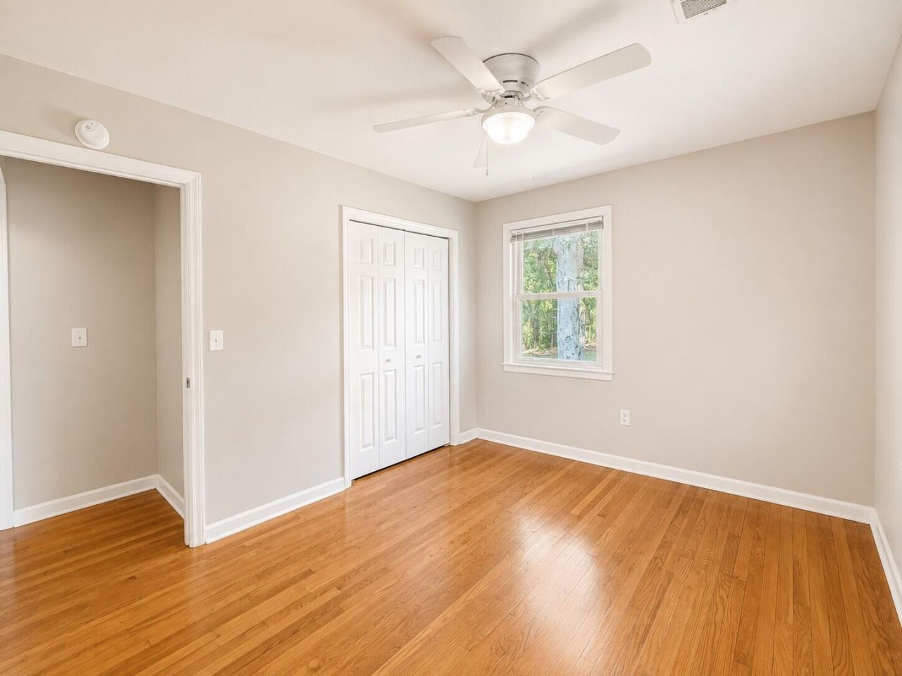 1240 Belvedere Drive Photo 13